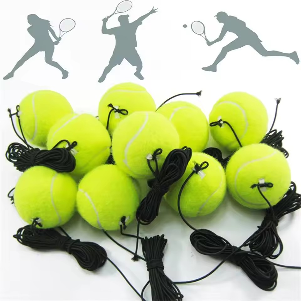 Badminton Smash - ลูกเทนนิสฝึกซ้อมแบบเด้งกลับสำหรับมืออาชีพ พร้อมลูกบอลยางยืด 4 เมตร สำหรับสุนัขเล่นกลางแจ้ง ฝึกซ้อมกีฬา